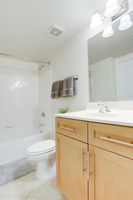 Condo With Gym And Pool In Pentagon City 8Min To Dca Arlington Exterior foto
